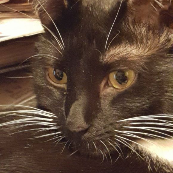 Meet your Posher, Nancy - Picture 1 of 1